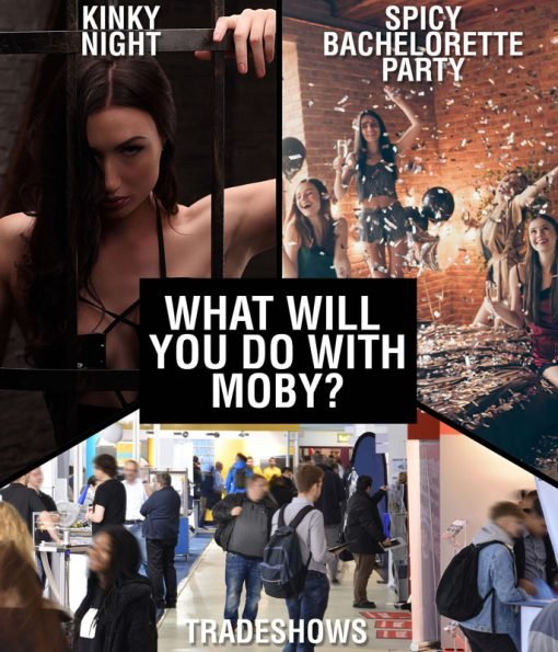 A collage showcasing different party themes: a seductive night scene, a lively bachelorette party, and a bustling tradeshow.
