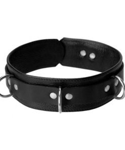 Sick Puppy Leash and Collar Kit - Image 3