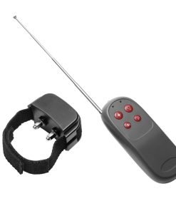 Remote control and collar for training dogs