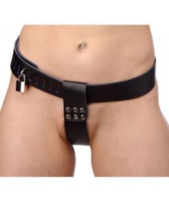 Pussy Face Female Orgasm Denial Chastity Kit - Image 2