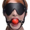 Blindfold Harness and Red Ball Gag