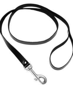 Strict Leather 4 Foot Leash