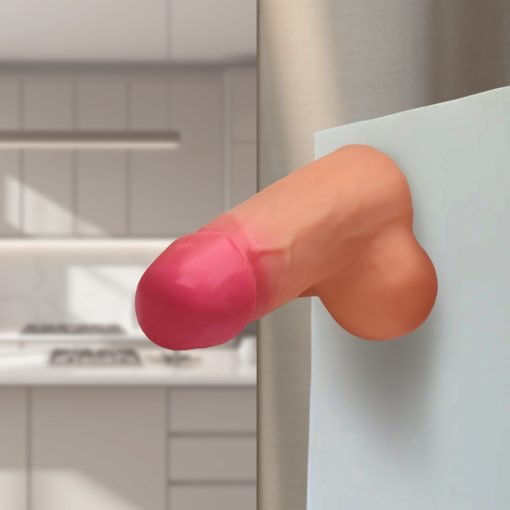 Novelty fridge magnet in the shape of a playful object