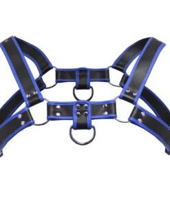 Black and blue harness designed for comfort and style