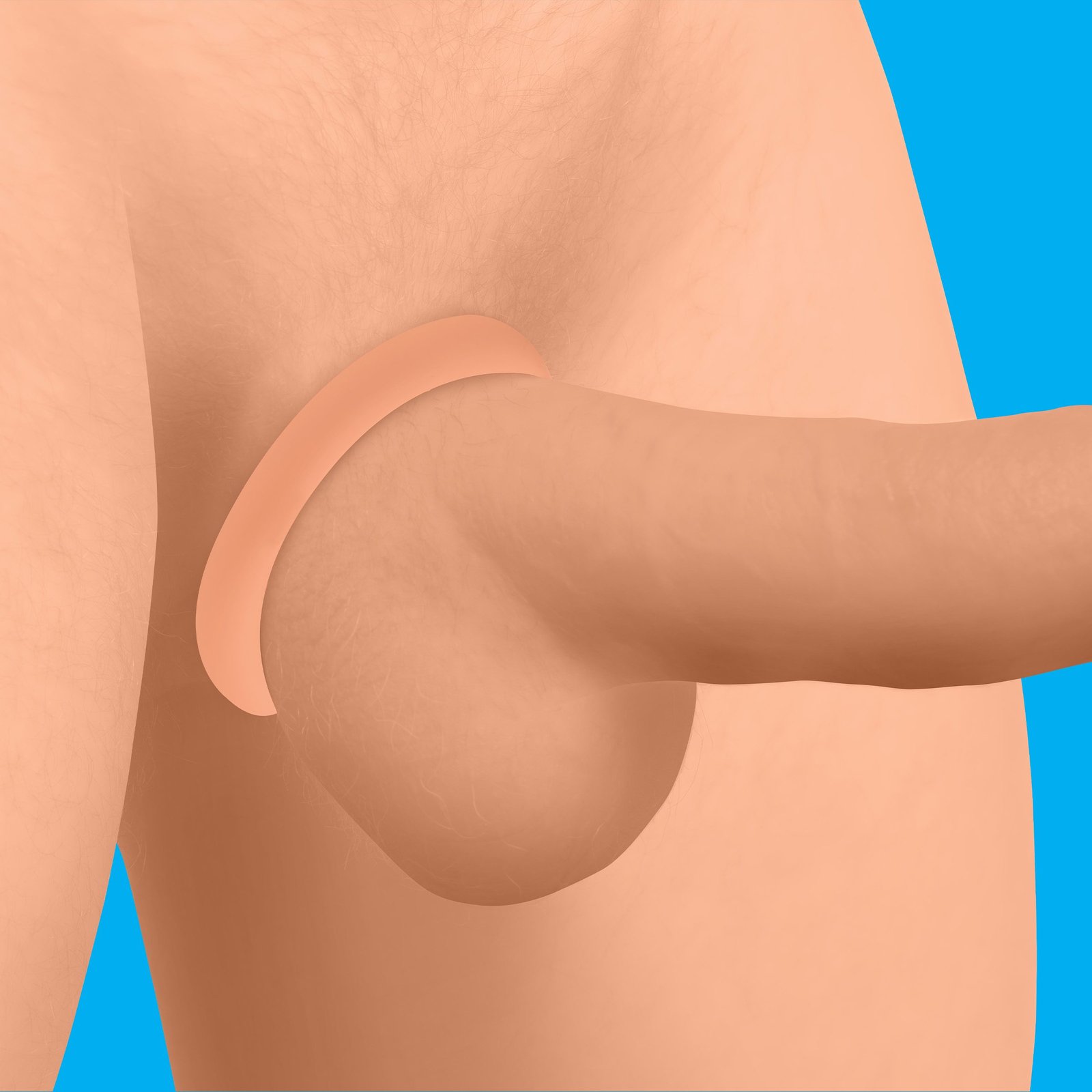 Illustration of a human arm anatomy with a focus on the elbow joint