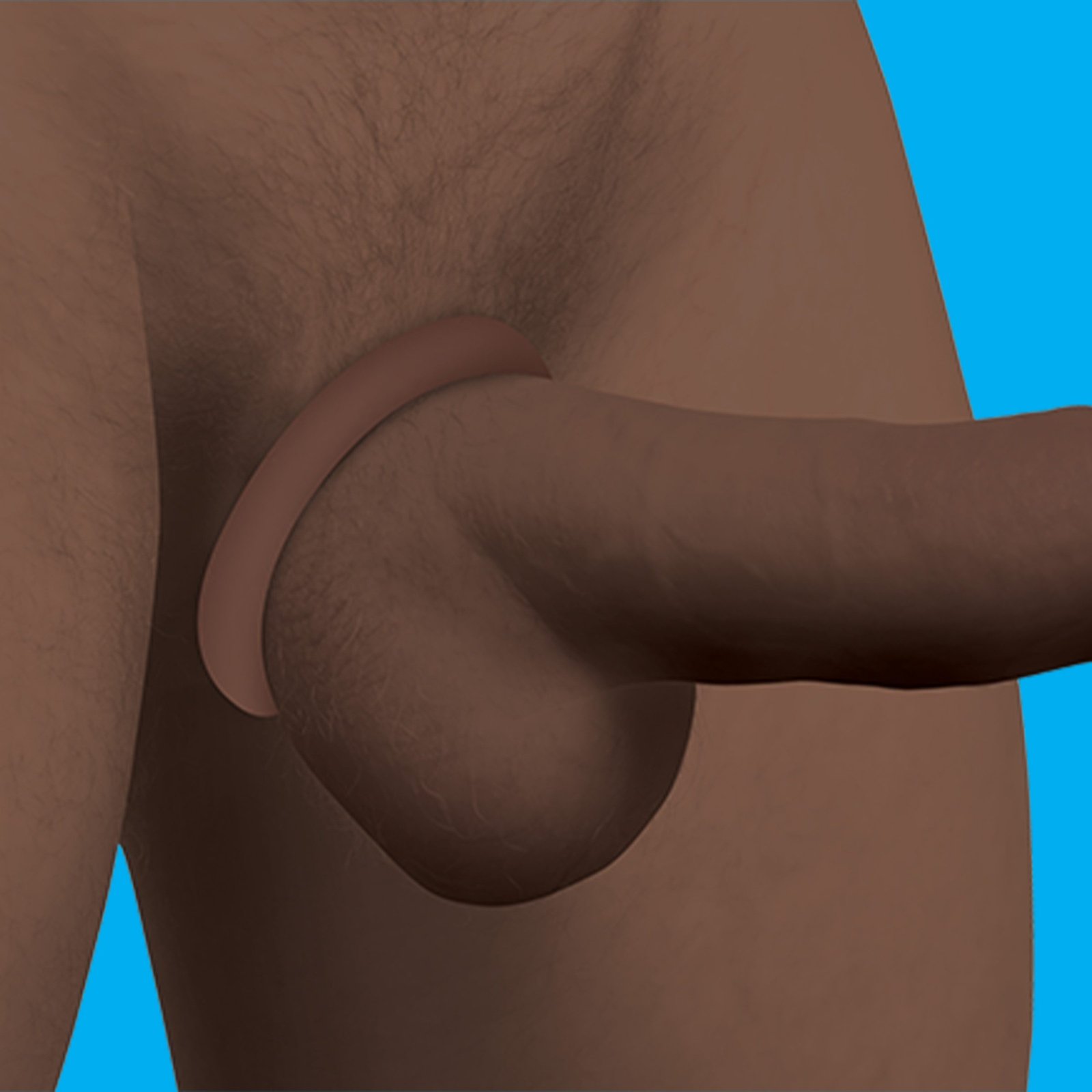 3D illustration of a male anatomy detail