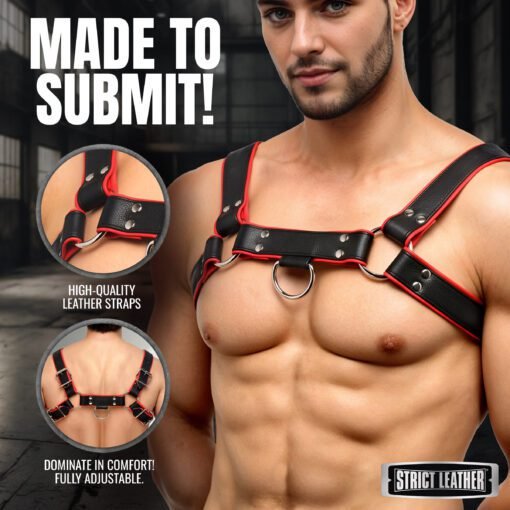 Leather English Bull Dog Harness Black/Red - Image 2