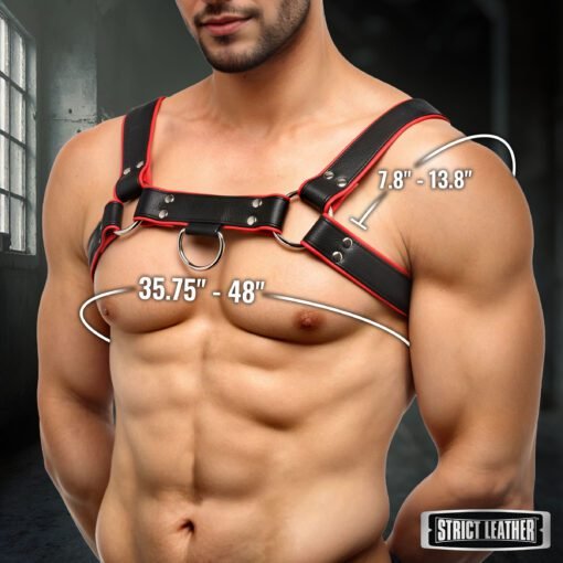 Leather English Bull Dog Harness Black/Red - Image 4