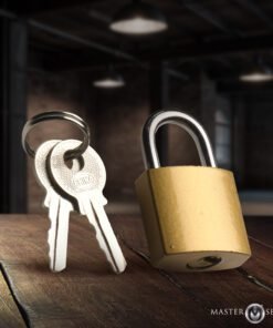 Brass Collar Padlock